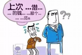 文山要账公司